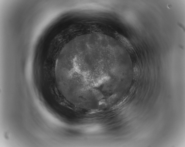 X0000097890765200803281246