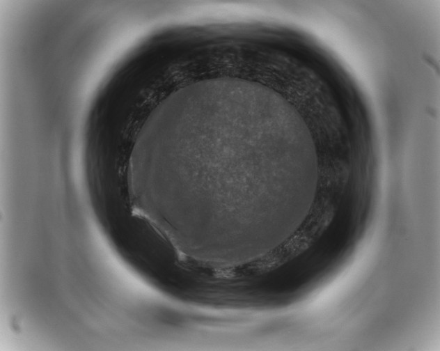 X0000097890766200803281246