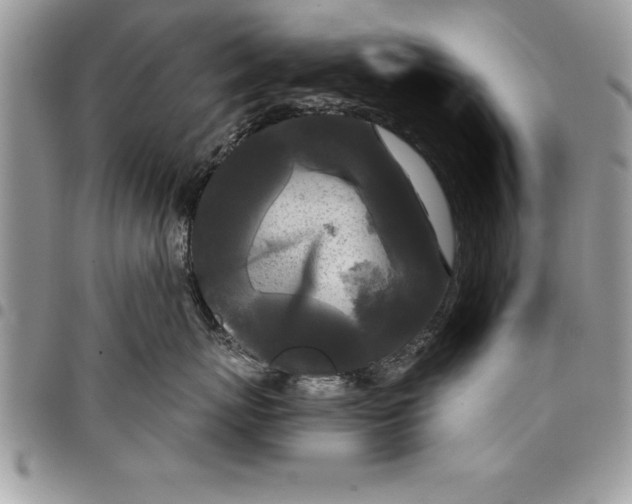 X0000097890767200803281246