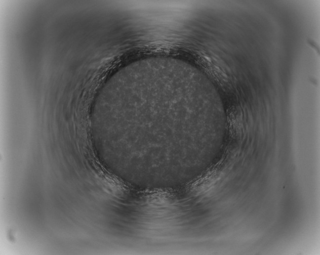 X0000097890769200803281245