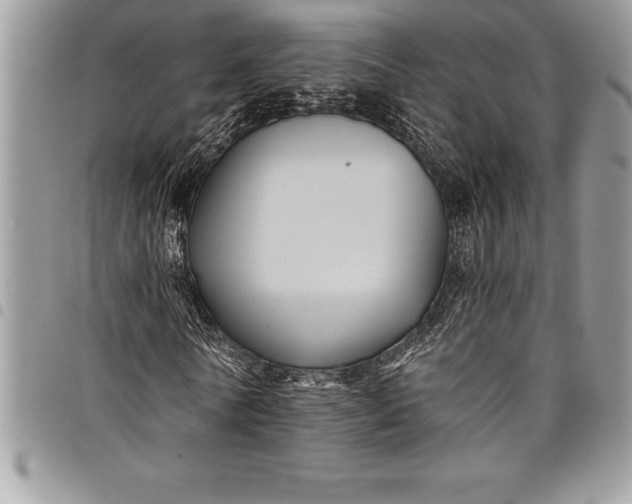 X0000097890770200803281245