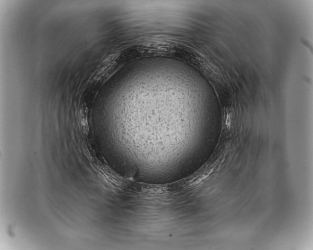 X0000097890771200803281245