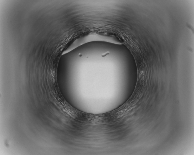 X0000097890772200803281245