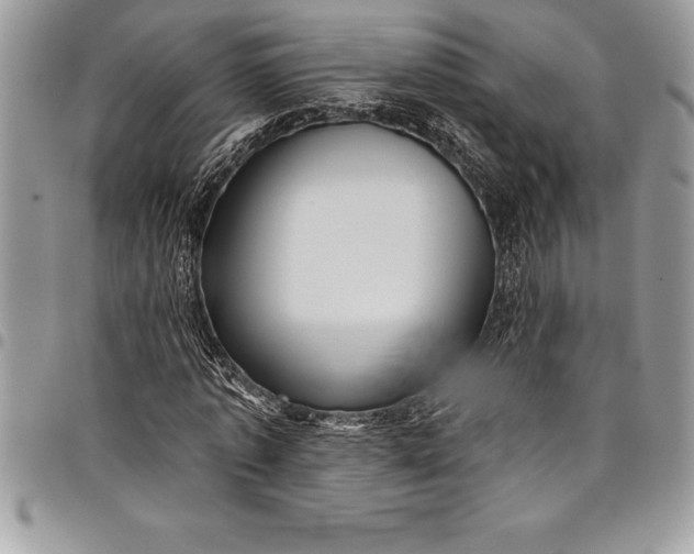 X0000097890773200803281245