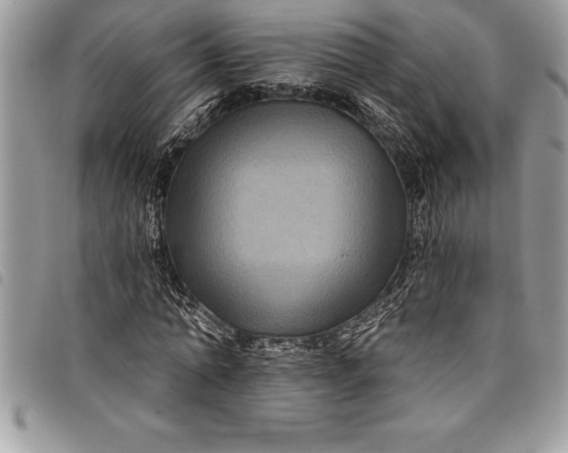 X0000097890774200803281245