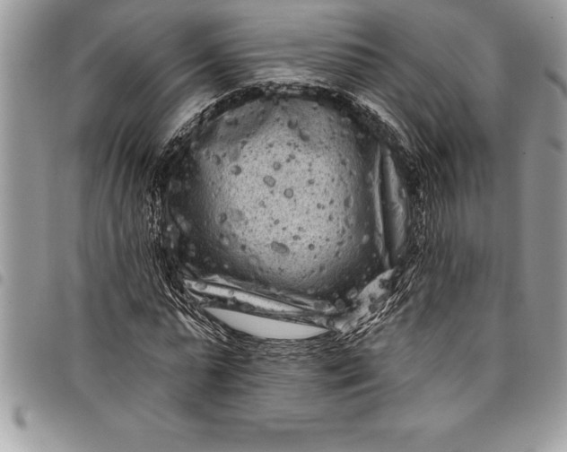 X0000097890775200803281245