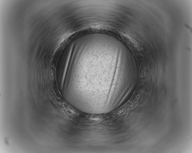 X0000097890776200803281245