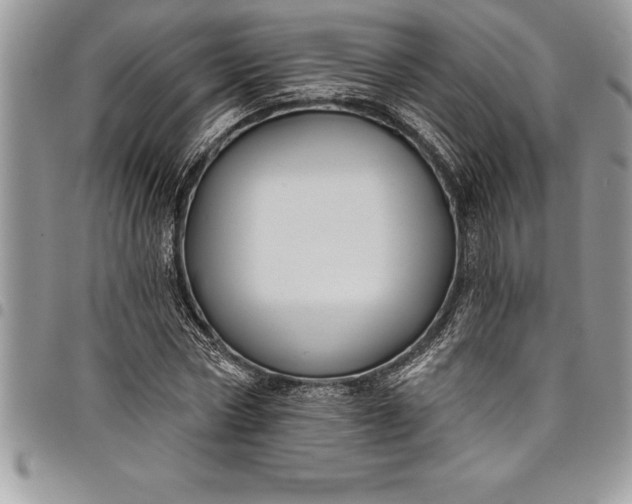 X0000097890778200803281245