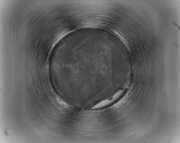 X0000097890779200803281245