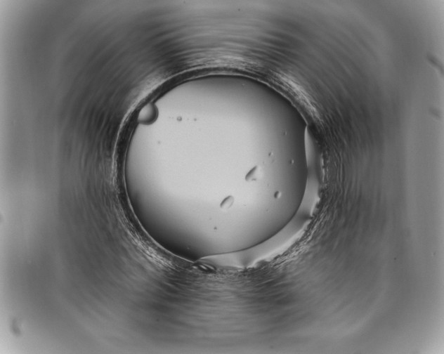 X0000097890780200803281245