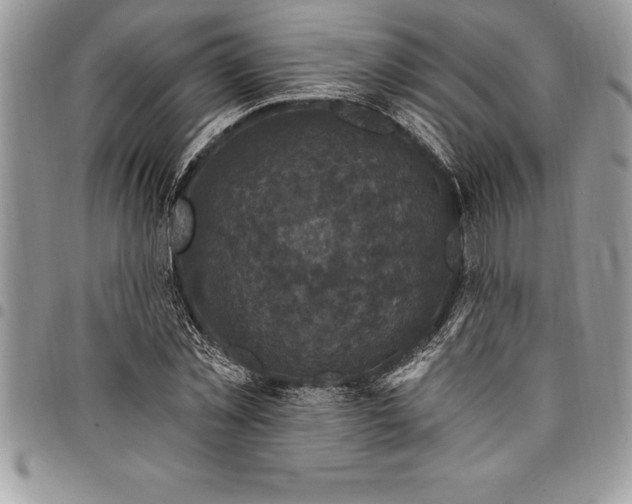 X0000097890781200803281245