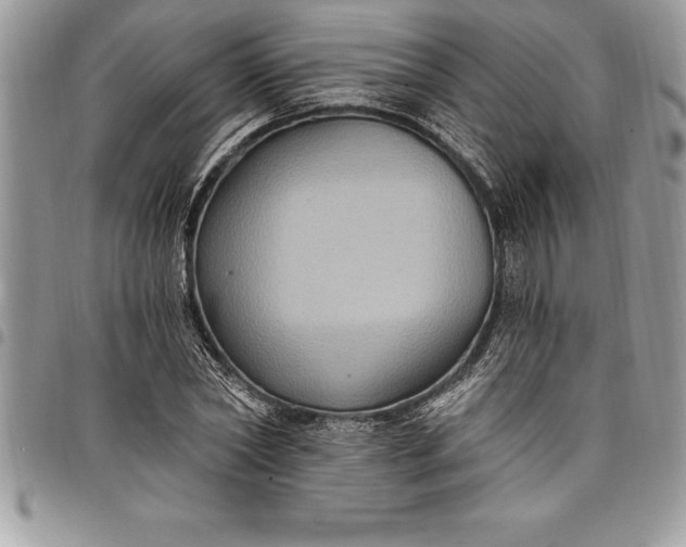 X0000097890782200803281245