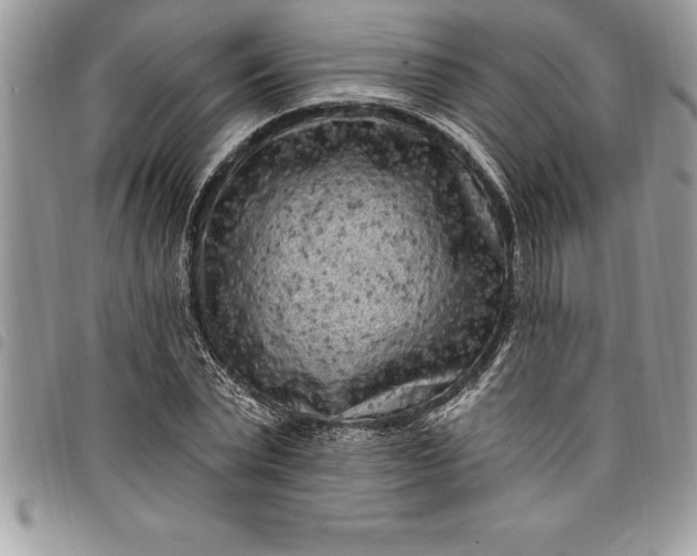 X0000097890783200803281245