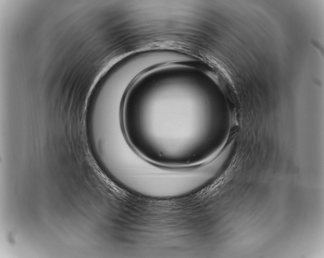 X0000097890784200803281245