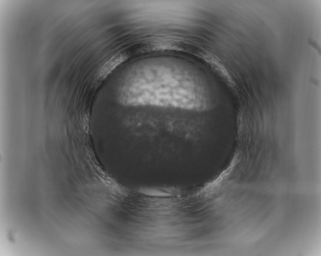 X0000097890785200803281245