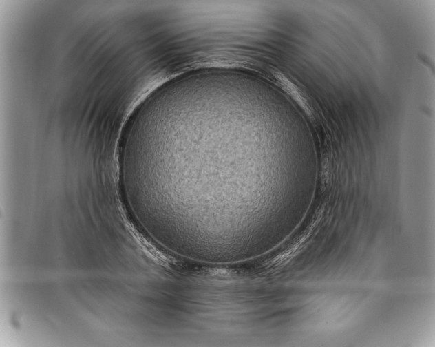 X0000097890787200803281245