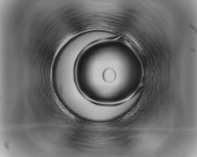 X0000097890788200803281245