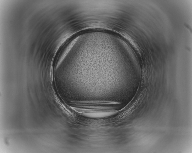 X0000097890791200803281245