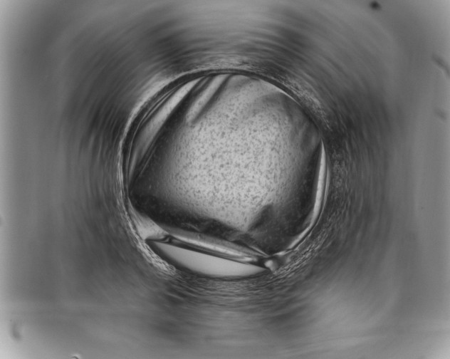 X0000097890792200803281245