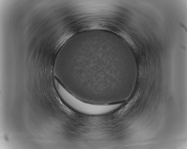 X0000097890793200803281245