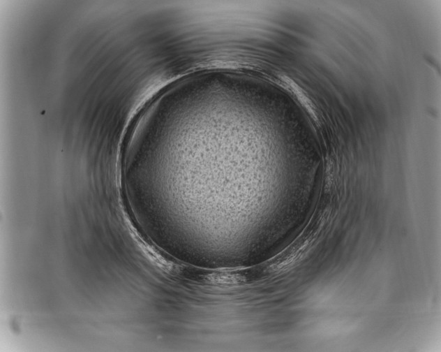 X0000097890795200803281245