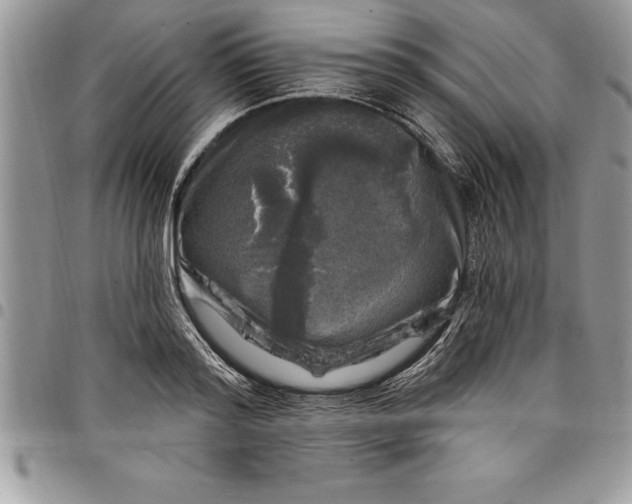 X0000097890796200803281245