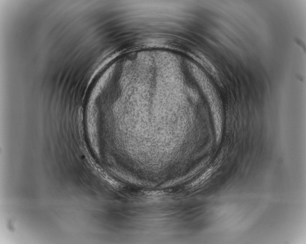 X0000097890798200803281245