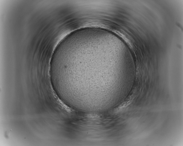 X0000097890799200803281245