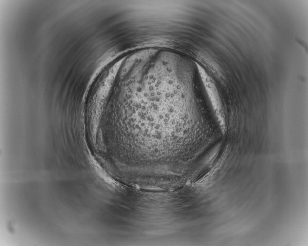 X0000097890800200803281245