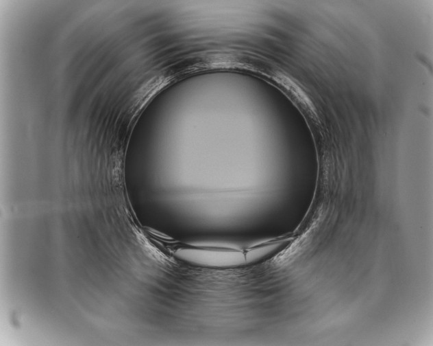 X0000097890801200803281245