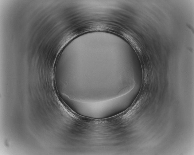 X0000097890802200803281244