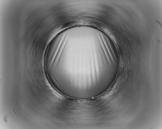 X0000097890803200803281244