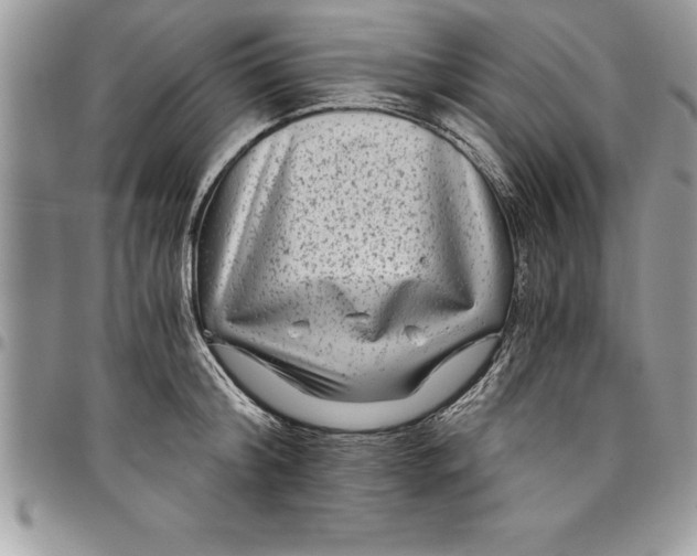 X0000097890804200803281244