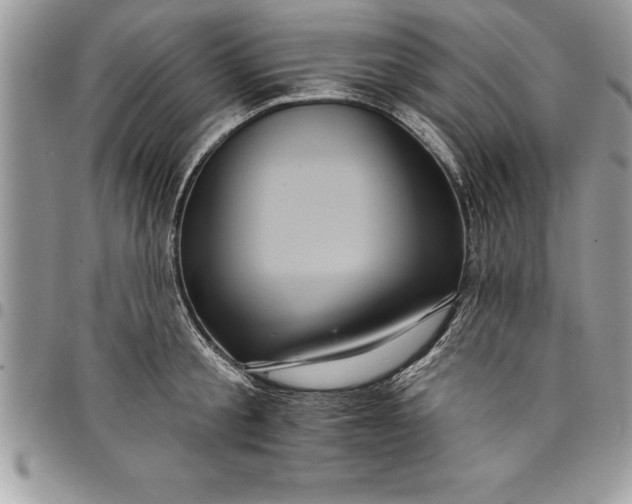 X0000097890805200803281244