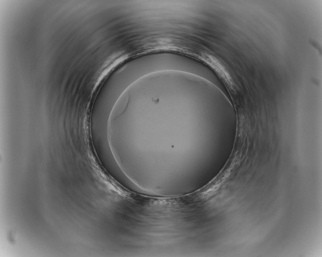 X0000097890806200803281244