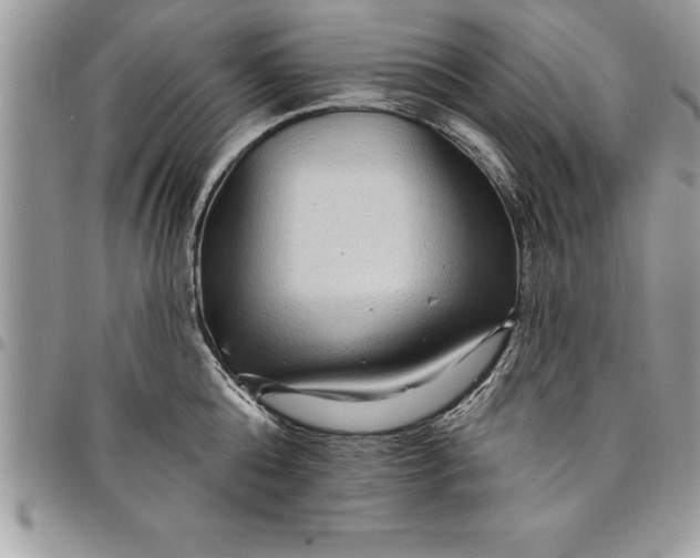 X0000097890808200803281244