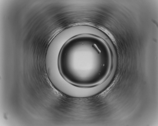 X0000097890809200803281244