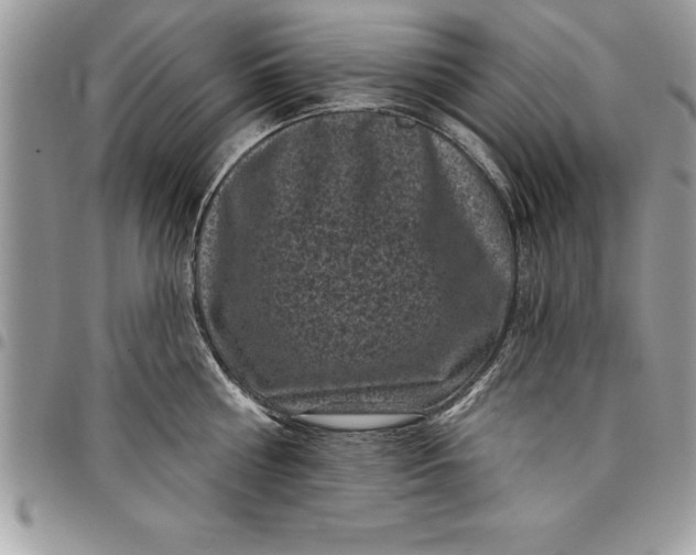 X0000097890810200803281244