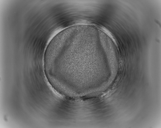 X0000097890811200803281244