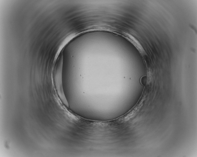 X0000097890812200803281244