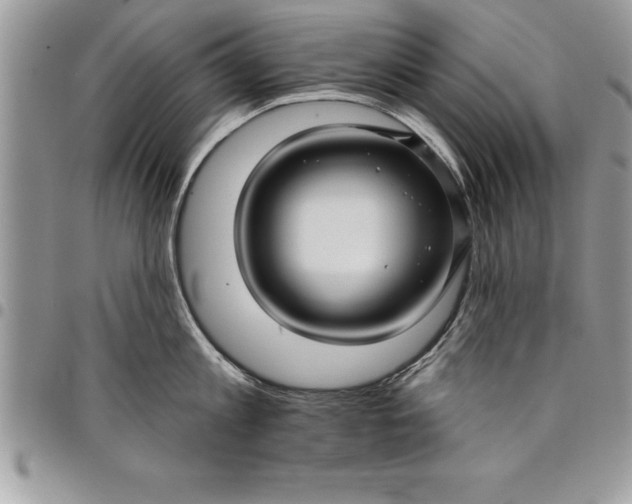 X0000097890813200803281244