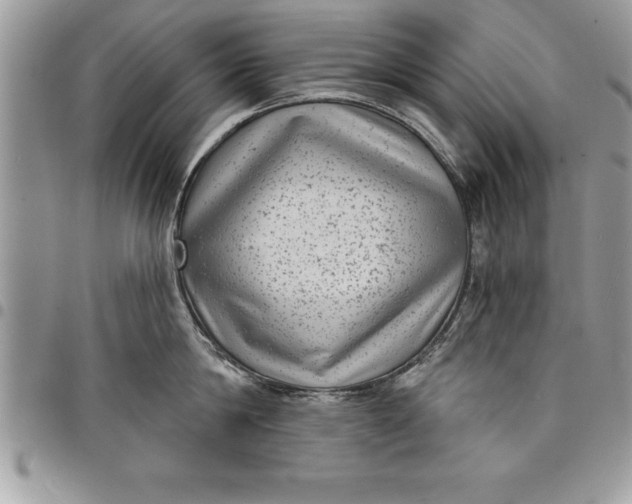 X0000097890814200803281244