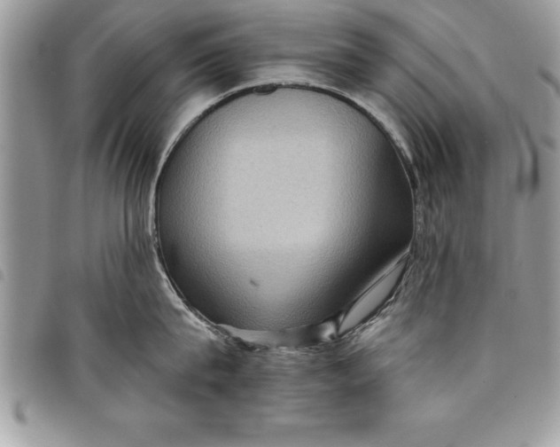 X0000097890815200803281244