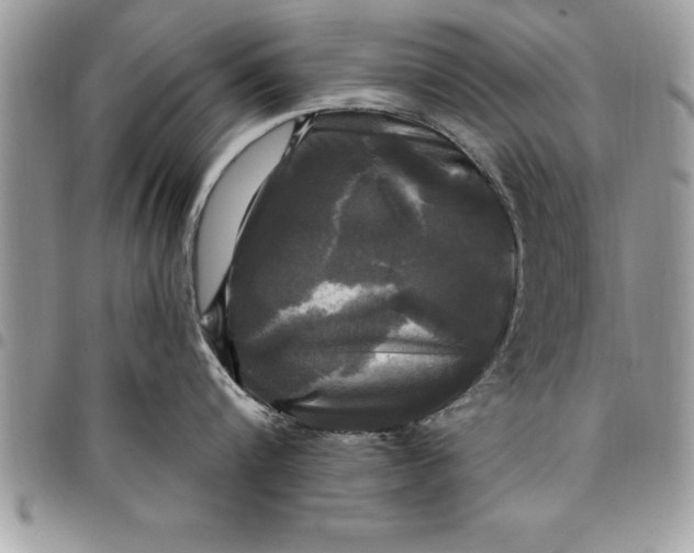 X0000097890816200803281244