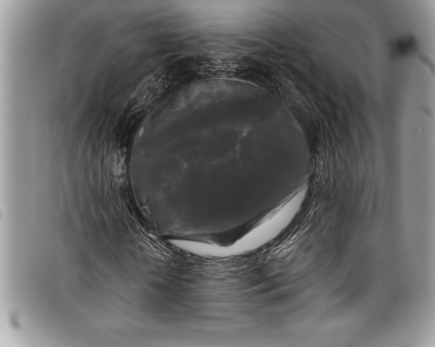 X0000097890818200803281244