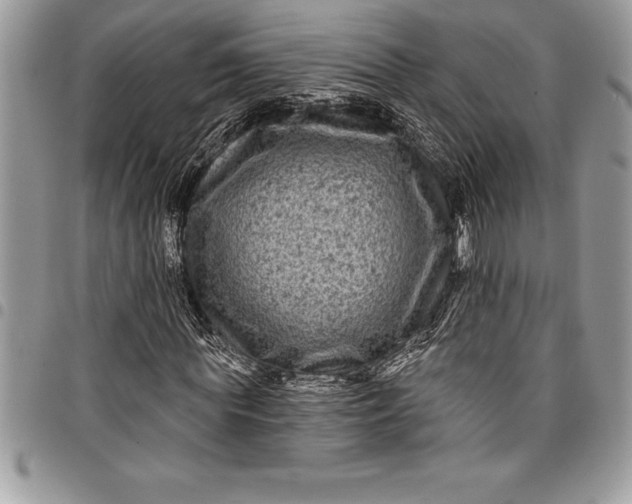 X0000097890819200803281244