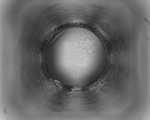 X0000097890821200803281244