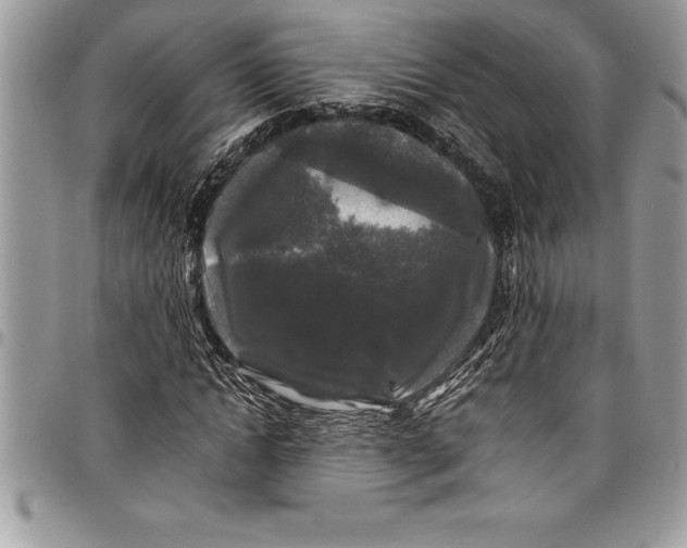 X0000097890822200803281244