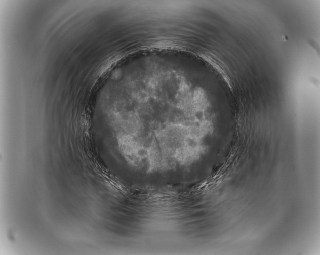 X0000097890823200803281244