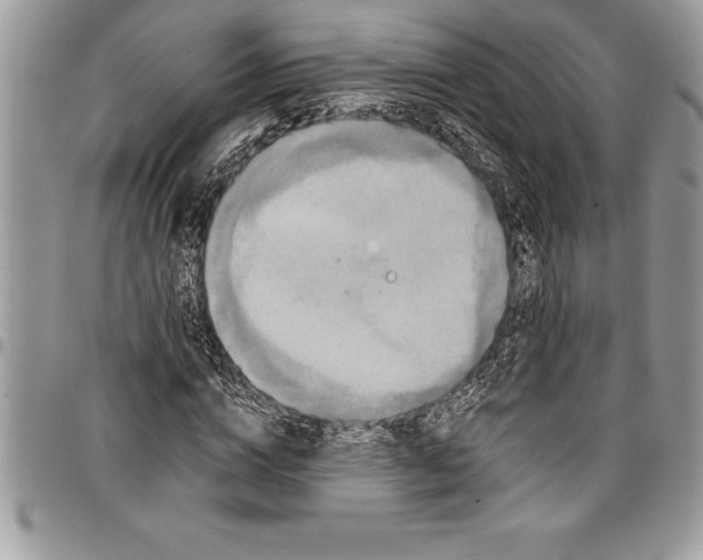 X0000097890824200803281244